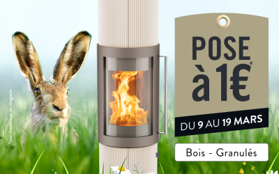 HASE Pose à 1€